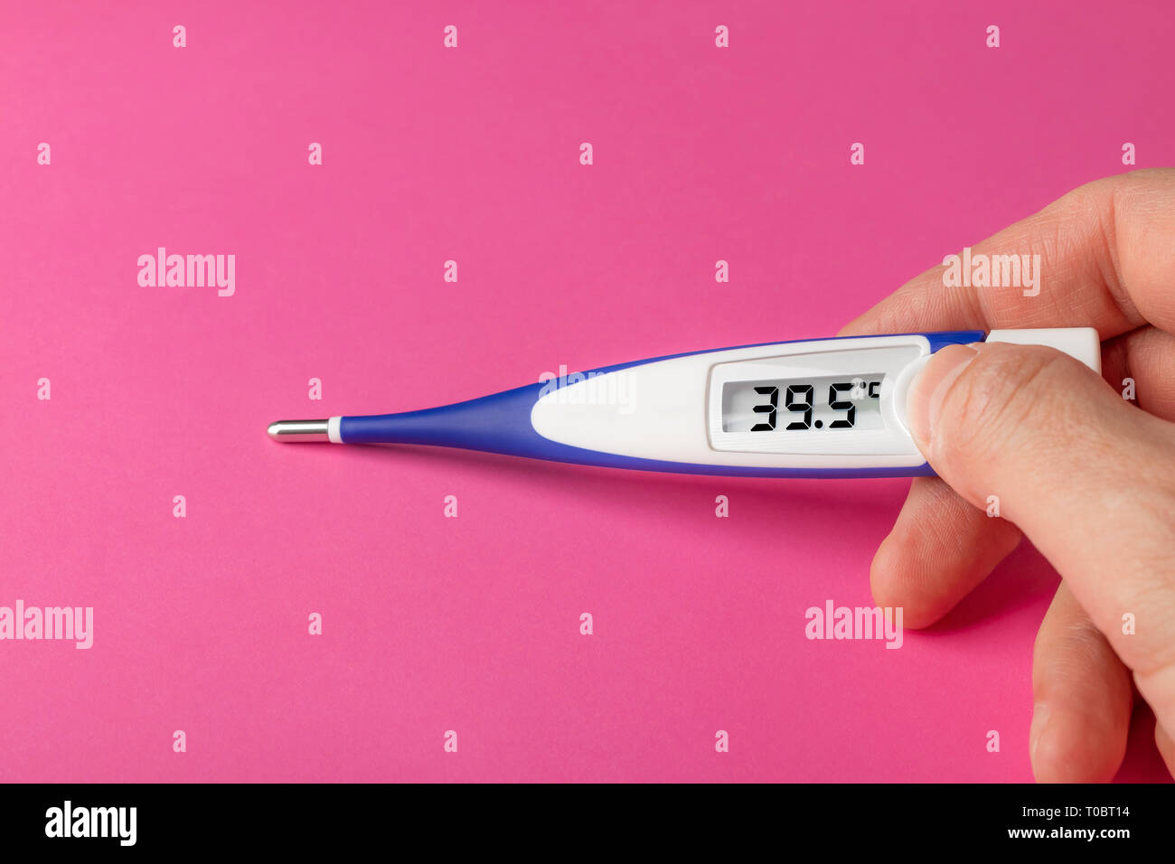 White-blue thermometer with a high temperature of 39.5 degrees Celsius in hand on a pink background Stock Photo