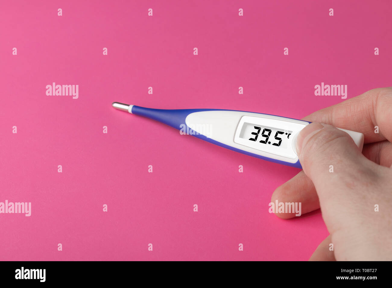 White-blue thermometer with a high temperature of 39.5 degrees Celsius in hand on a pink background Stock Photo