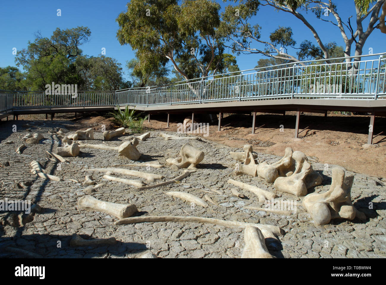 Dinosaur death fossils hires stock photography and images Alamy