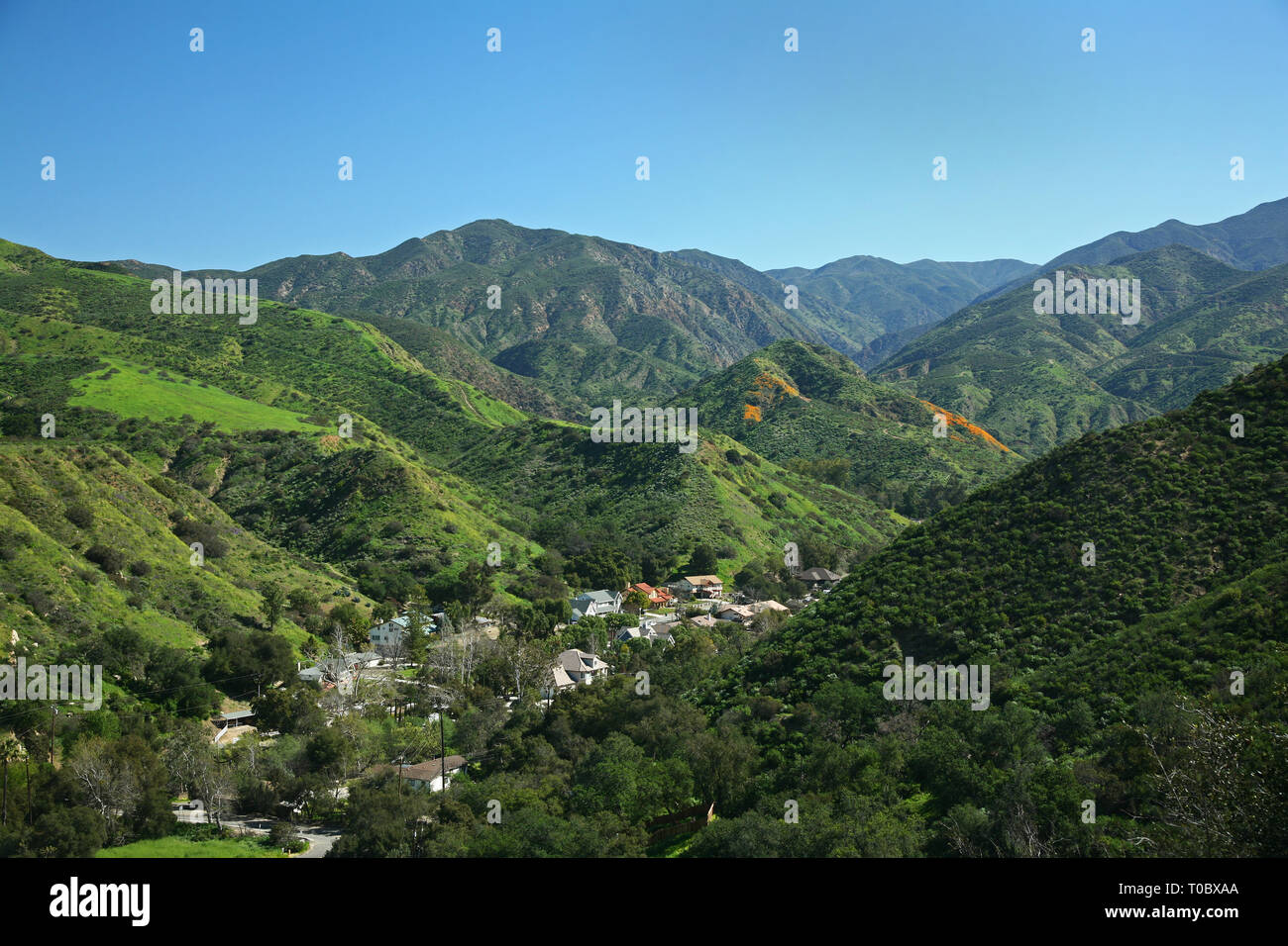 Modjeska Canyon Homes