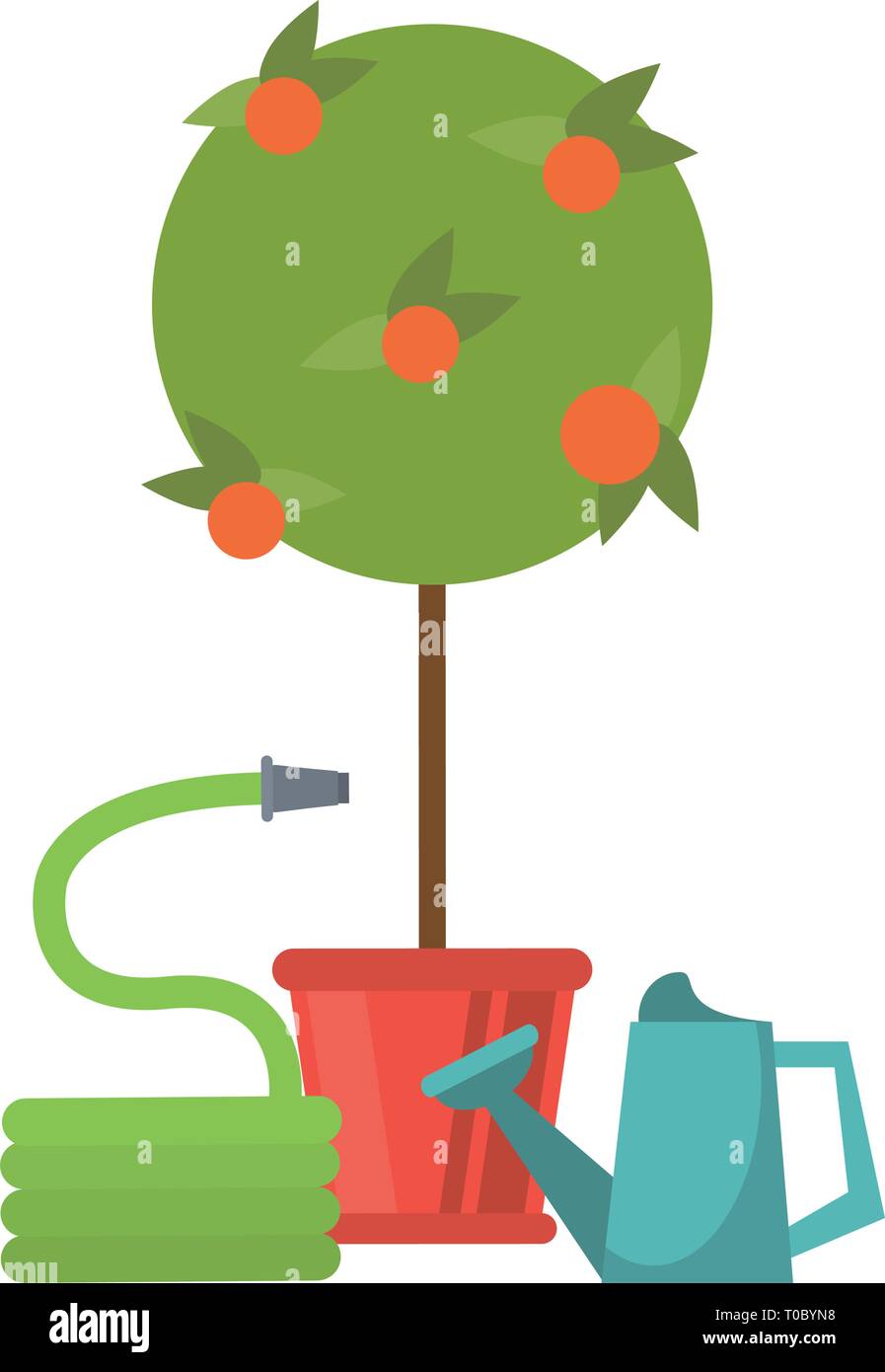Gardening plants and tools Stock Vector Image & Art - Alamy