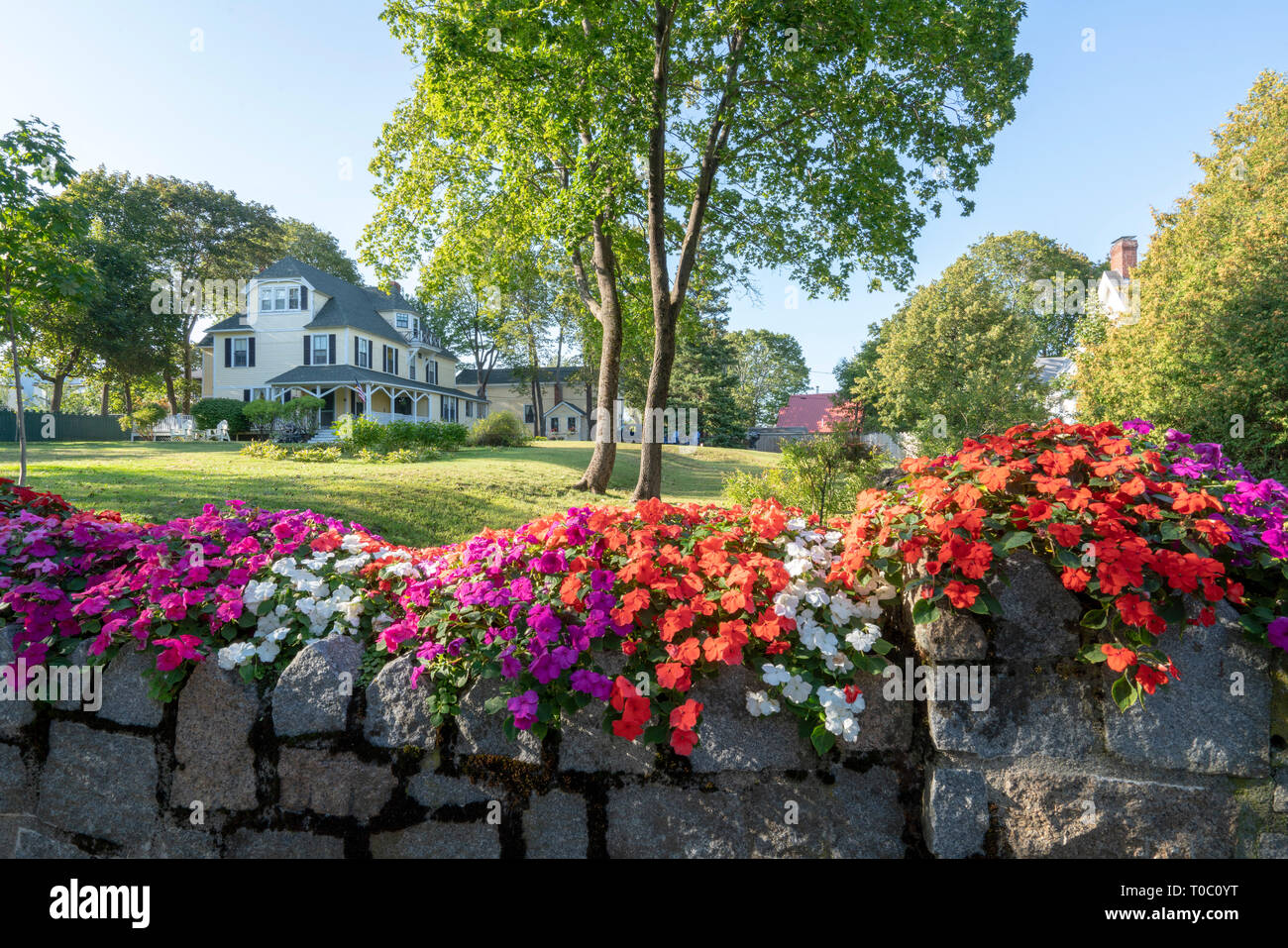 Beautiful flowers blooming on a stonewall with a large home in the background in Bar Harbor Maine. Stock Photo