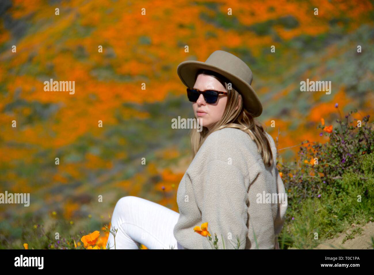 Super Bloom 2019. Woman disobeys the rules and sits on the golden poppies—crushing them—in her quest for photos at the now-closed Walker Canyon. Stock Photo