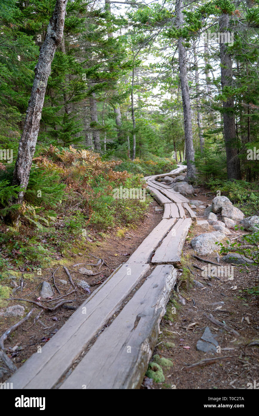 Winding Plank pathway through Acadia National Park in Maine/USA Stock Photo