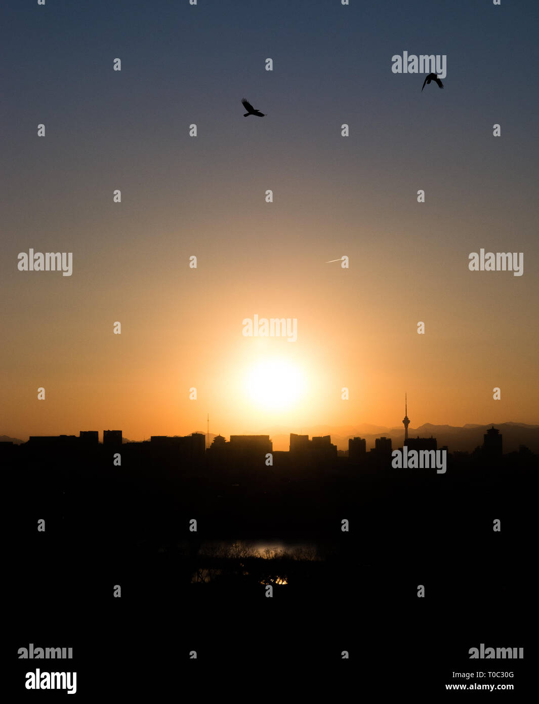 Cityscape silhouette of Beijing downtown and skyline at sunset with birds in the foreground Stock Photo
