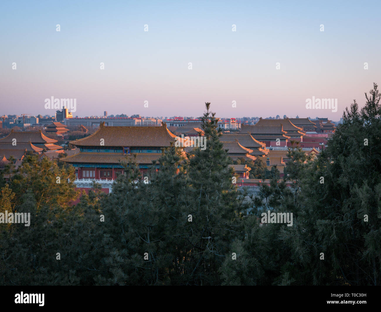 Beijing ancient Forbidden City from above in sunset light in diagonal perspective with trees in the foreground, China Stock Photo