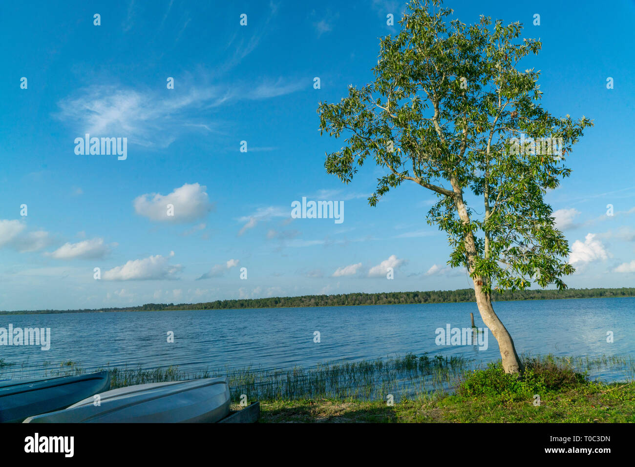 Manatee lake state park hires stock photography and images Alamy
