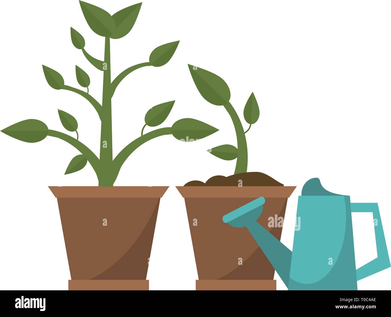 Gardening plants and tools Stock Vector Image & Art - Alamy