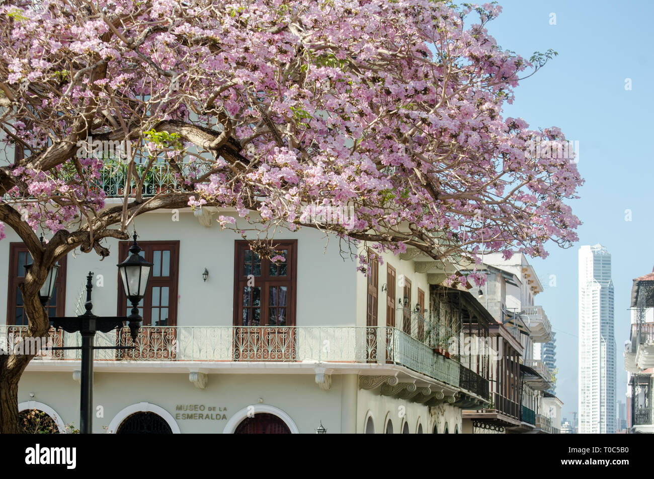 Cathedral Park in Casco Viejo Stock Photo