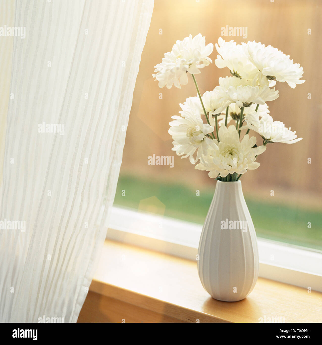 Fresh flowers in vase on windowsill with sheer fabric curtains window coverings. Simple, natural, contemporary home interior decor background elements Stock Photo