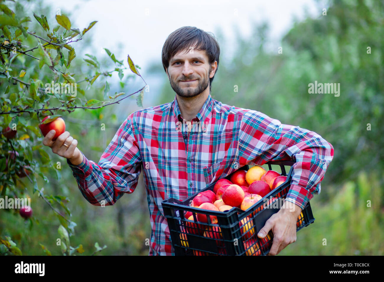 Садовников Иду К Людям Купить
