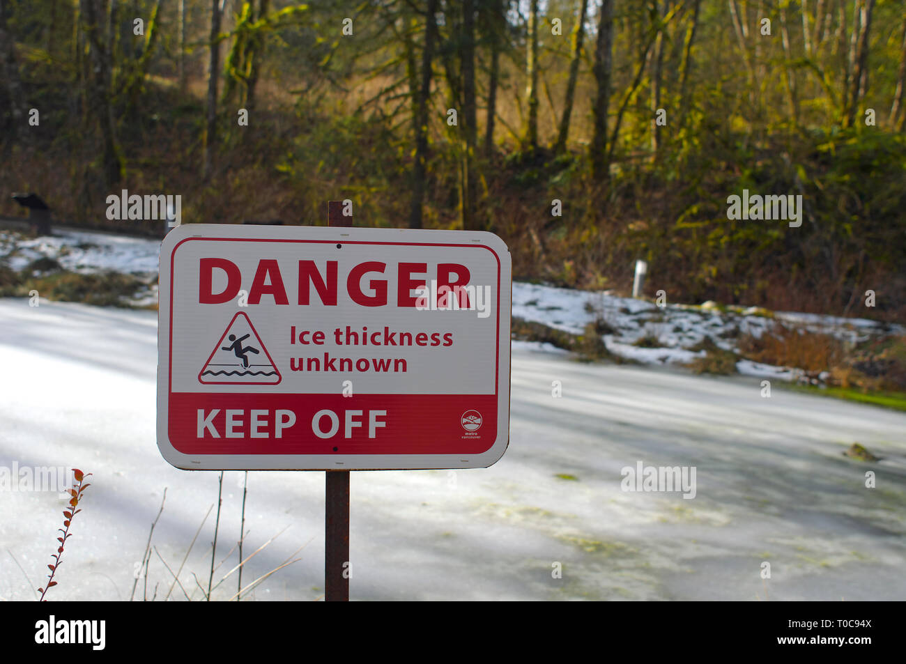 Danger Ice Thickness Unknown Keep Off warning sign beside an ice-covered pond with trees in the background. Stock Photo