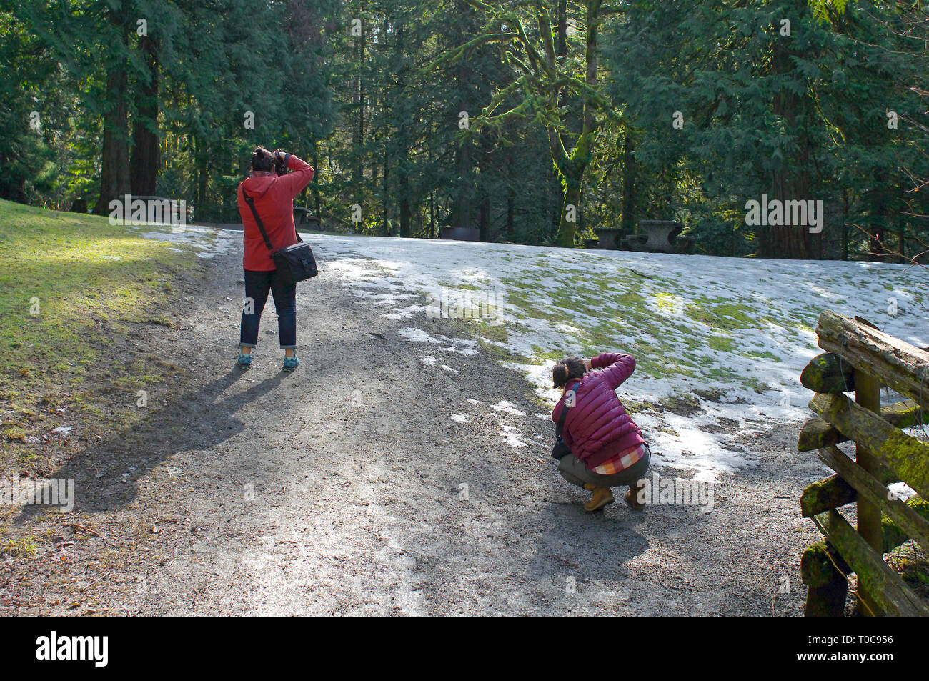 Two young women in park hi-res stock photography and images - Alamy