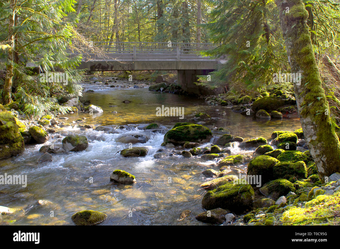 Bridge over Kanaka Creek with mossy rocks and sunlit trees. Stock Photo