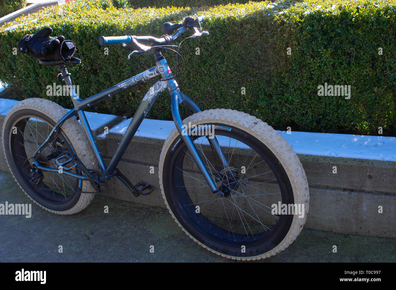 Blue bicycle with large, nubby tires leaning against a cement foundation with shrubs in the background. Stock Photo