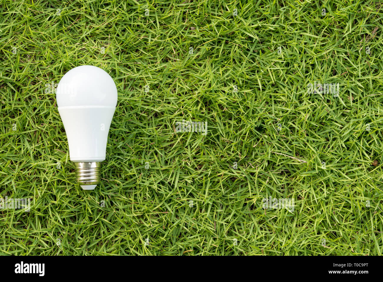 Concept of green energy. The LED light bulb on a green grass field Stock Photo