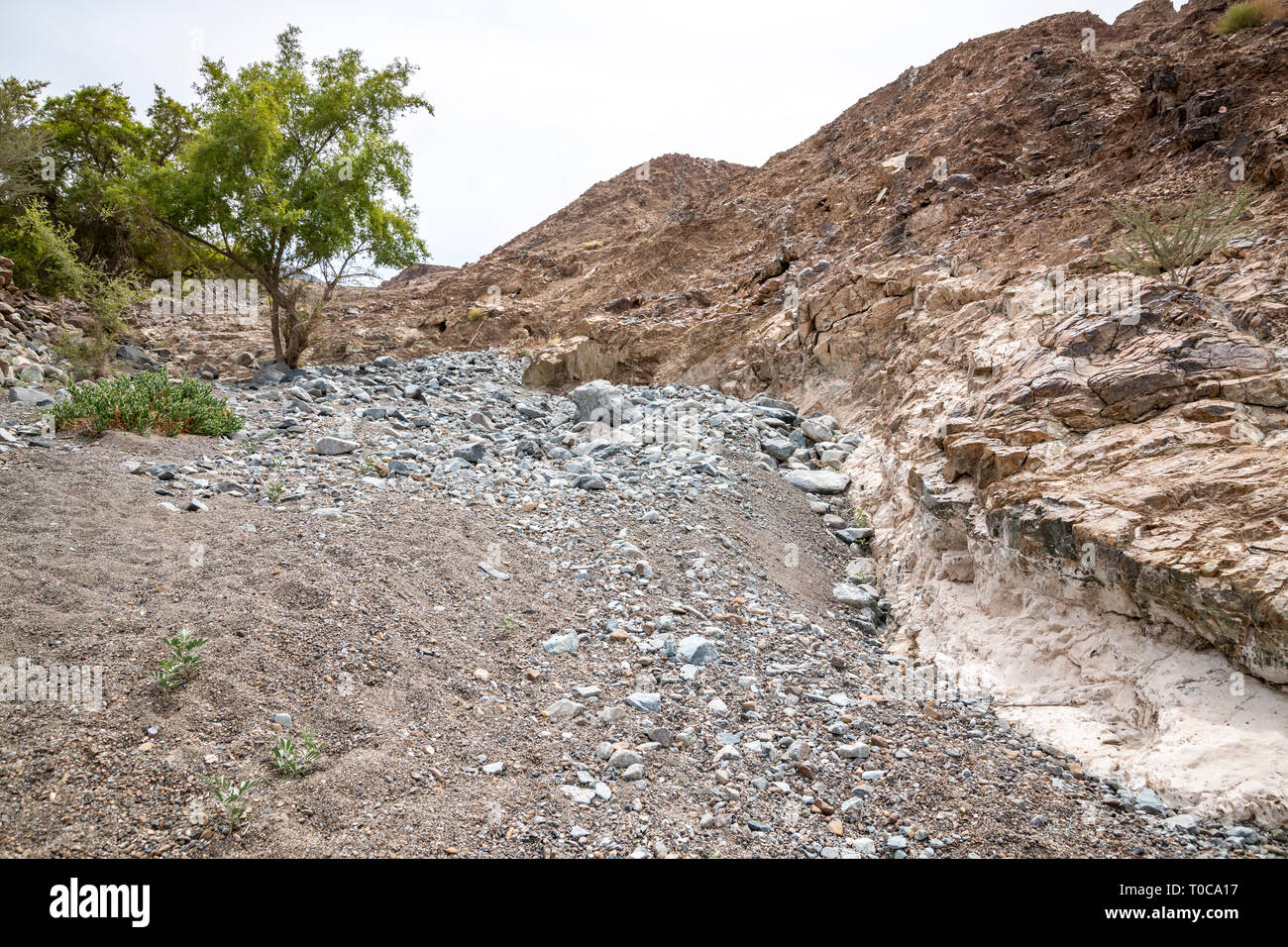 dry riverbed between arid and rocky Mountains Stock Photo Alamy
