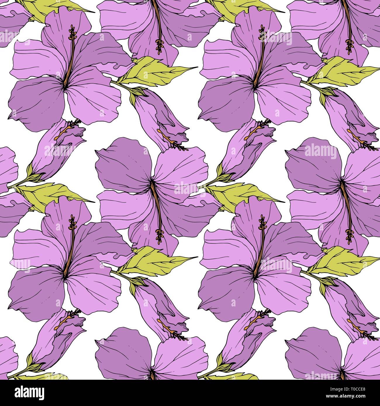 Vector Hibiscus floral botanical flower. Engraved ink art. Seamless ...