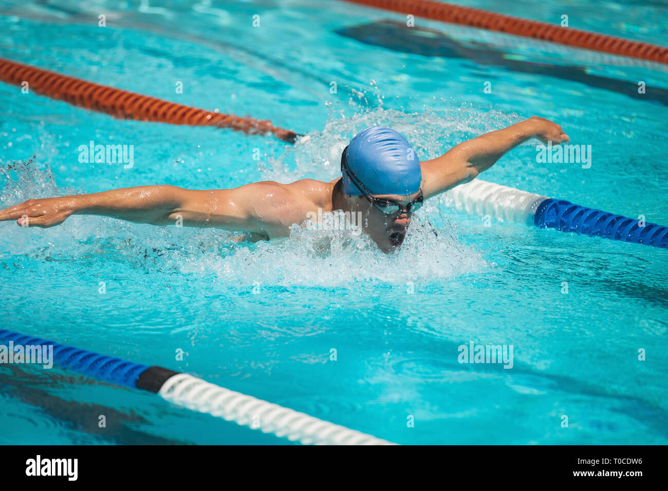 Young Caucasian male swimmer swimming butterfly stroke in outdoor swimming pool Stock Photo
