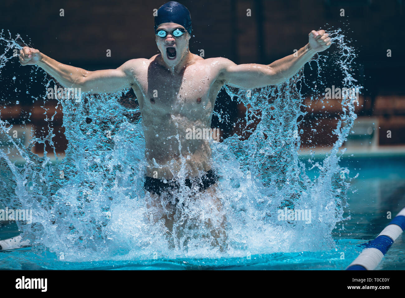 Young swimmer with arms stretched out celebrate victory in pool Stock