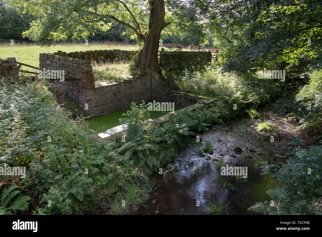 Old sheep dip beside a stream near Hayfield in the Peak District, Derbyshire, England. Stock Photo