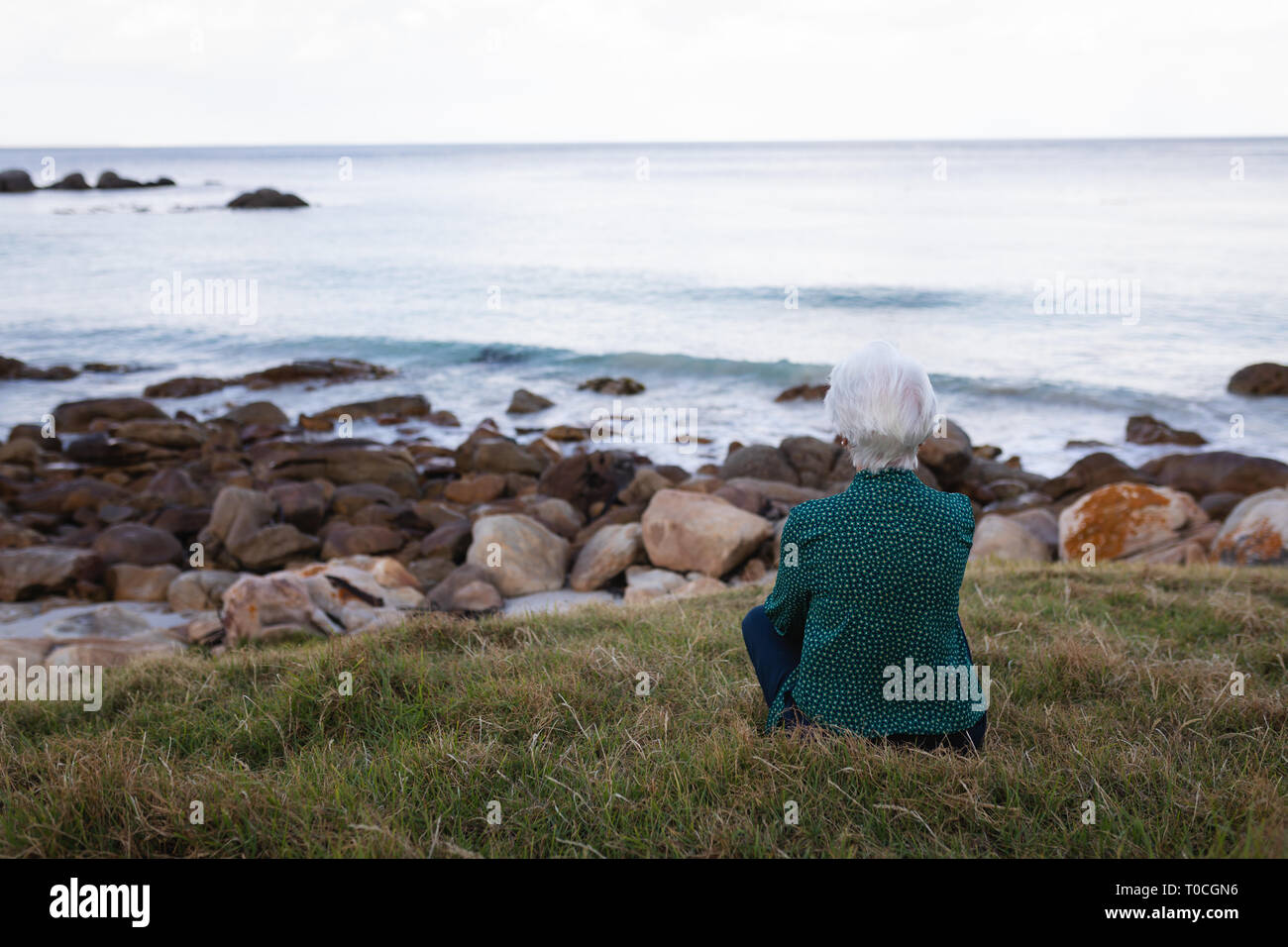 Active grass hi-res stock photography and images - Alamy