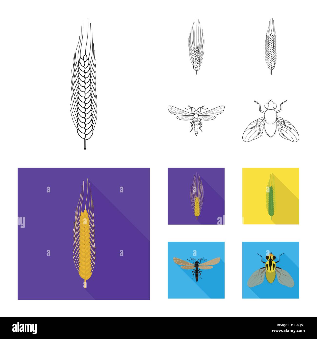 barley,fly,winter,insect,spring,pest,spike,control,durum,stop,crop ...