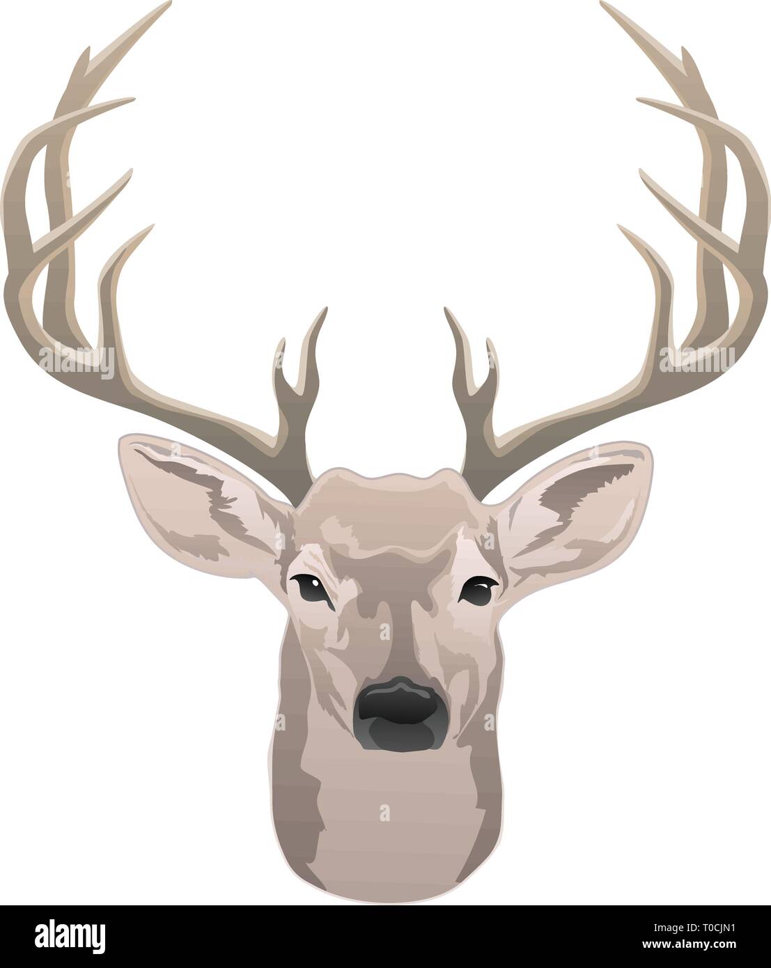 Deer head, beautiful buck with antlers color isolated vector illustration Stock Vector