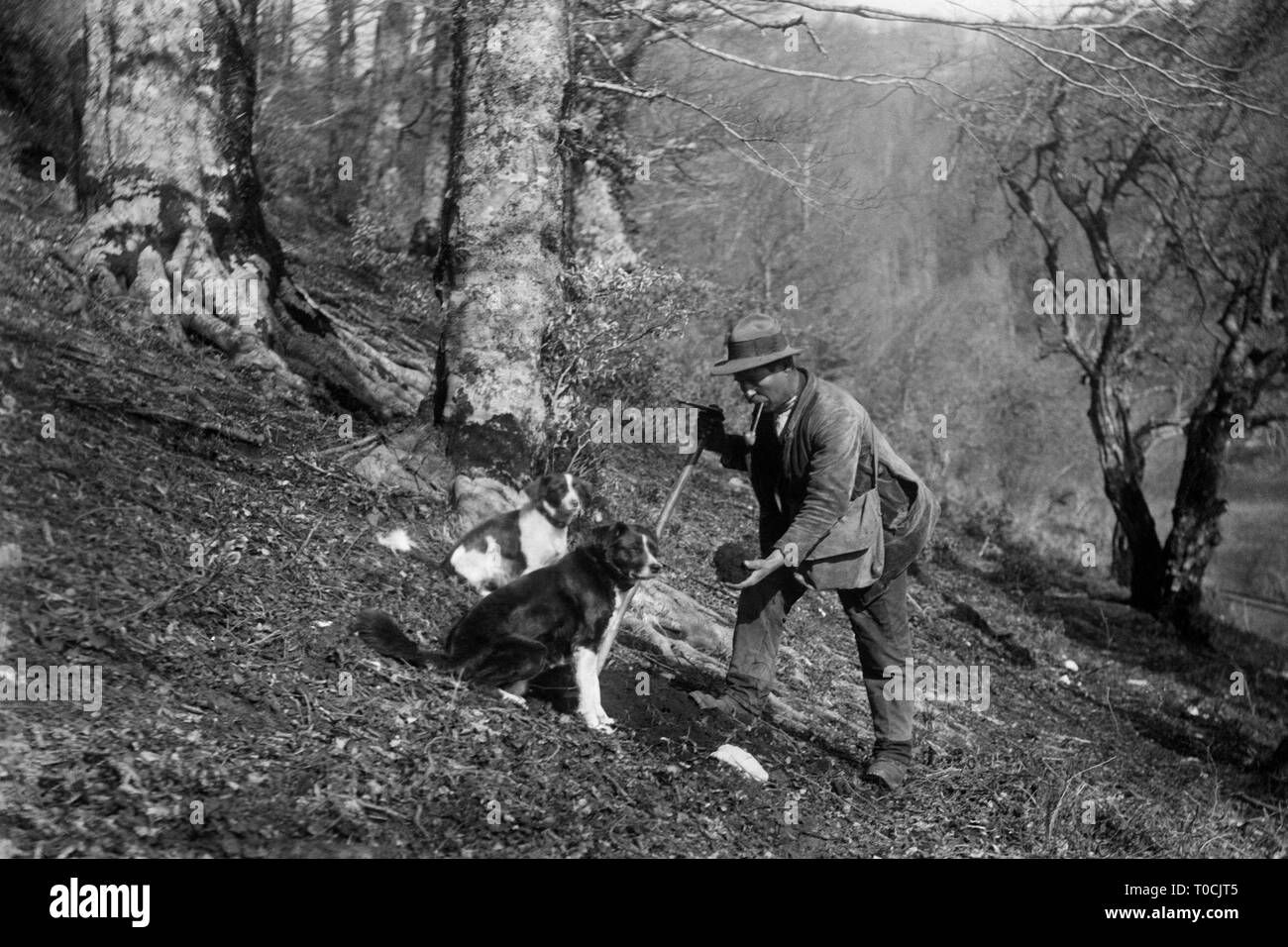 truffle hunter, bagnoli irpino, campania, italy 1930 Stock Photo