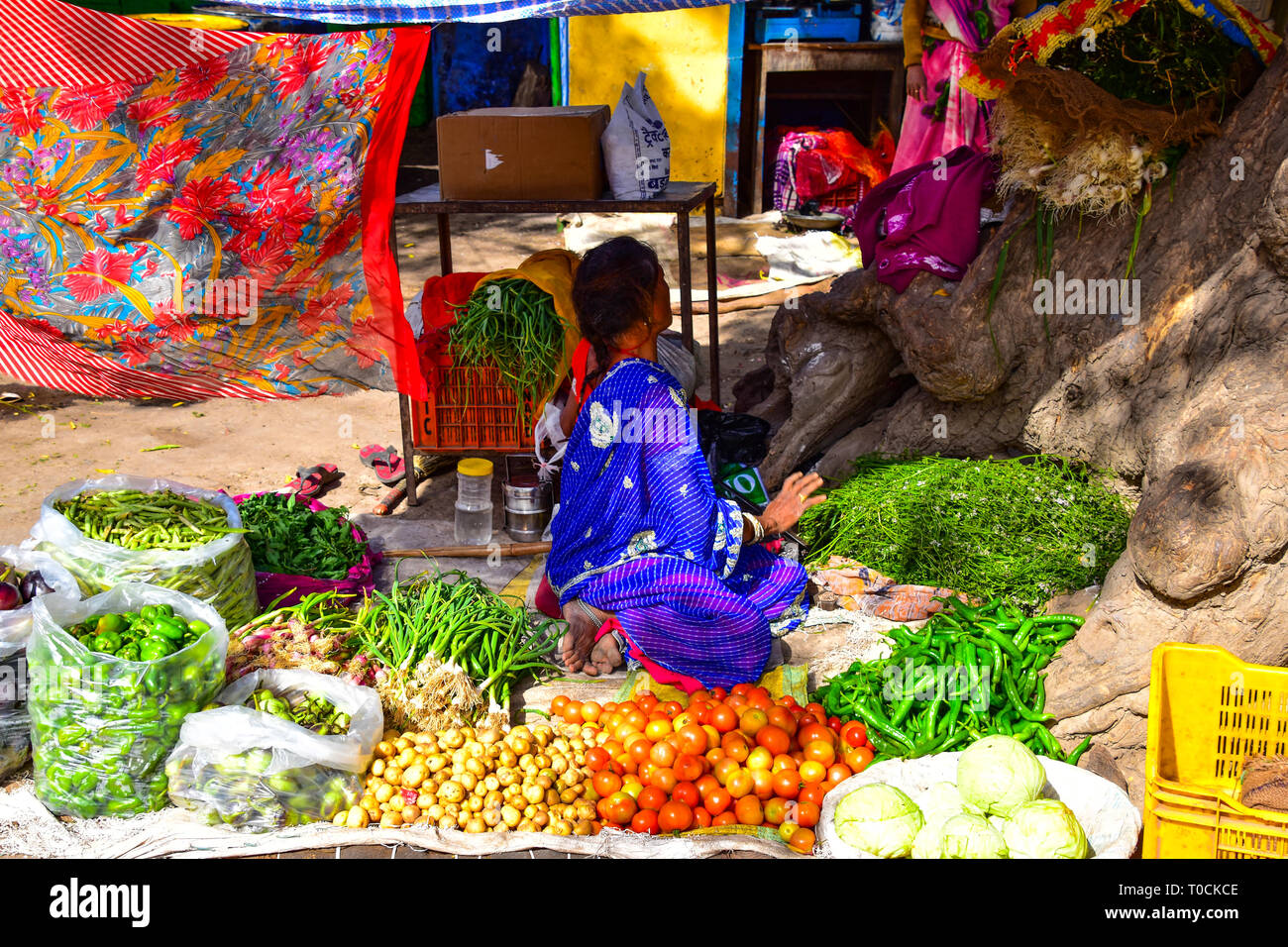 Outdoor Food Market, Bundi, Rajasthan, India Stock Photo