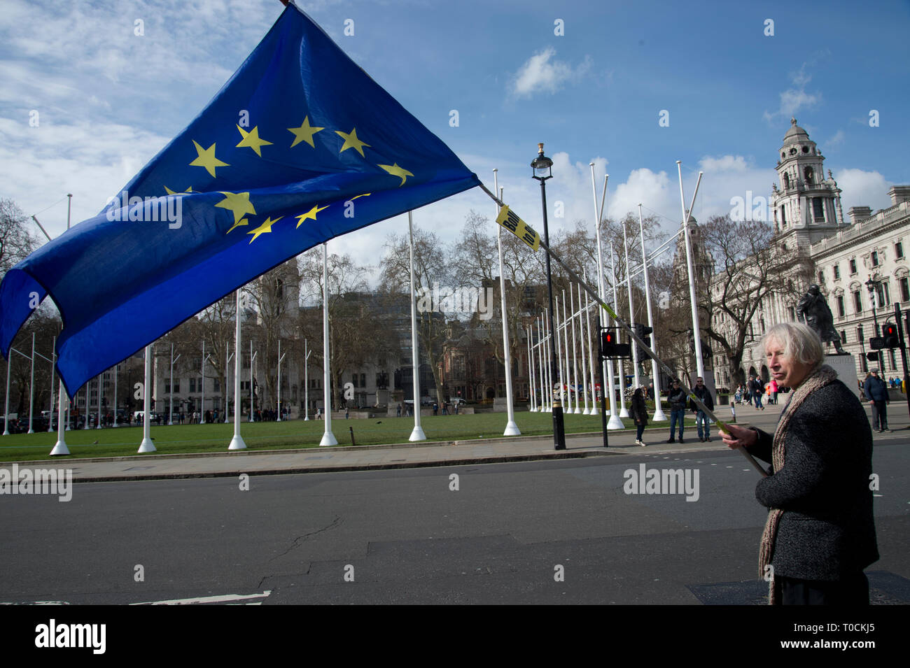 Westminster March 18th 2019. Remain protester outside Parliament waving a European flag.. Stock Photo