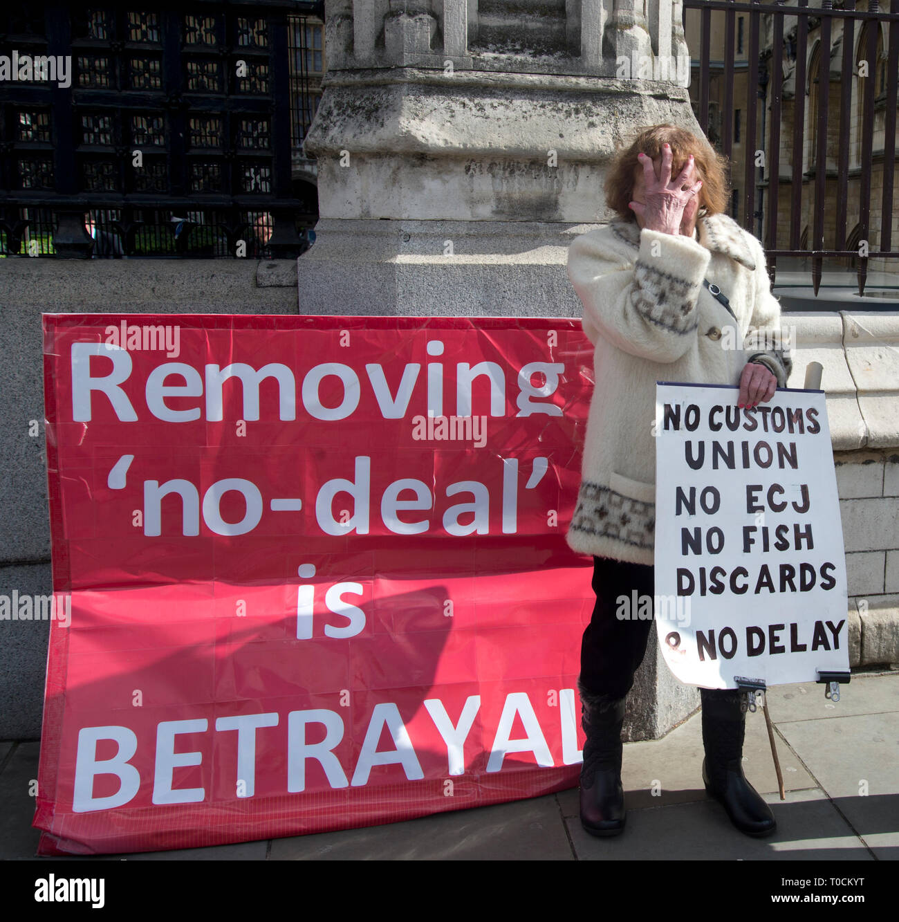 Westminster March 19th 2019. Brexit Leave protester Hazel Prowse with her placard of the day Stock Photo