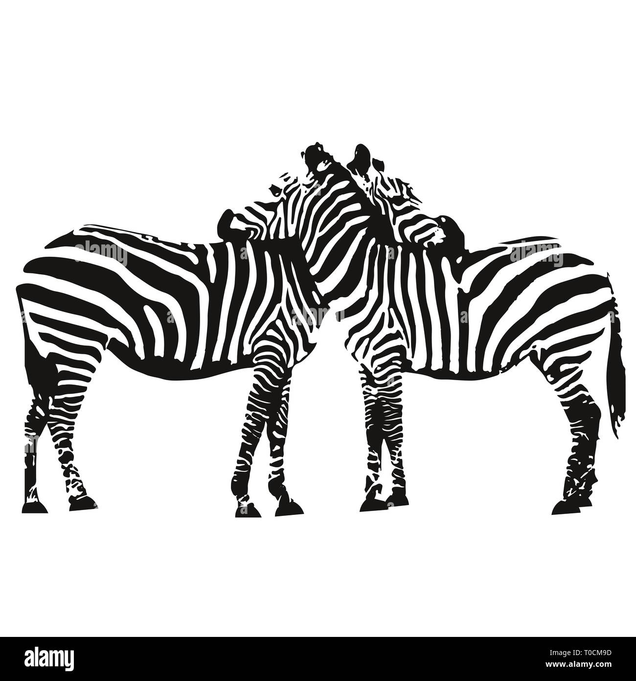 Illustration of two zebras hugging Stock Photo