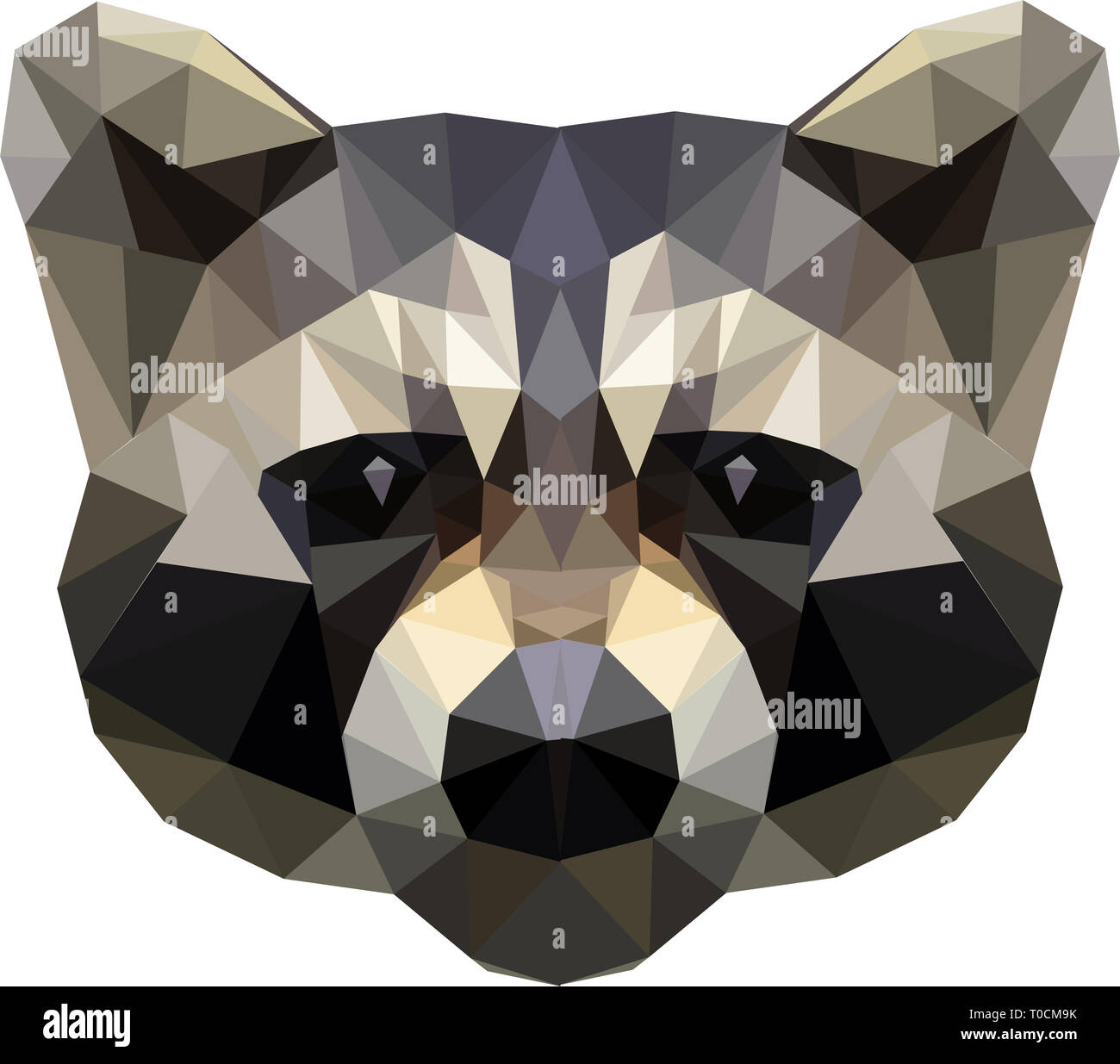 Low poly illustration of a Raccoon/Trash Panda Stock Photo