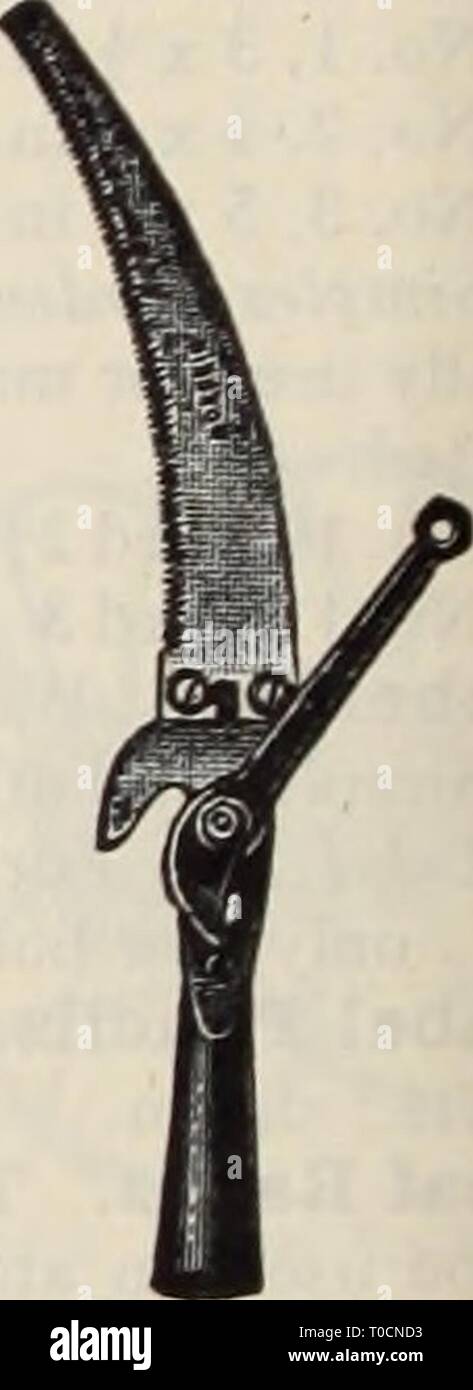 Dreer's garden book  Henry Dreer's garden book / Henry A. Dreer. dreersgardenbook1931dree Year:   Orchard Pruning Hook Border Shear Lawn Shear and Saw Shears, Tree Pruning. Lopping Shears, American, 26 inch handle, $3.50; 36 inch, $4.00; English, 2 inch jaw, $4.50; 3 inch jaw, $5.50; 3 j inch jaw $6 00 Combined Pruning Hook and Saw. Orchard, curved saw, $3.25; Little Giant, straight saw, $3.50; poles not supplied. Additional saw blades, each 1 50 Compound Lever, Pole Pruner, 8 ft., $4.00; 10 ft., $4.50; 12 ft., $5.00; 14 ft 5 50 Telegraph, so called because of it's popularity with line- men,  Stock Photo