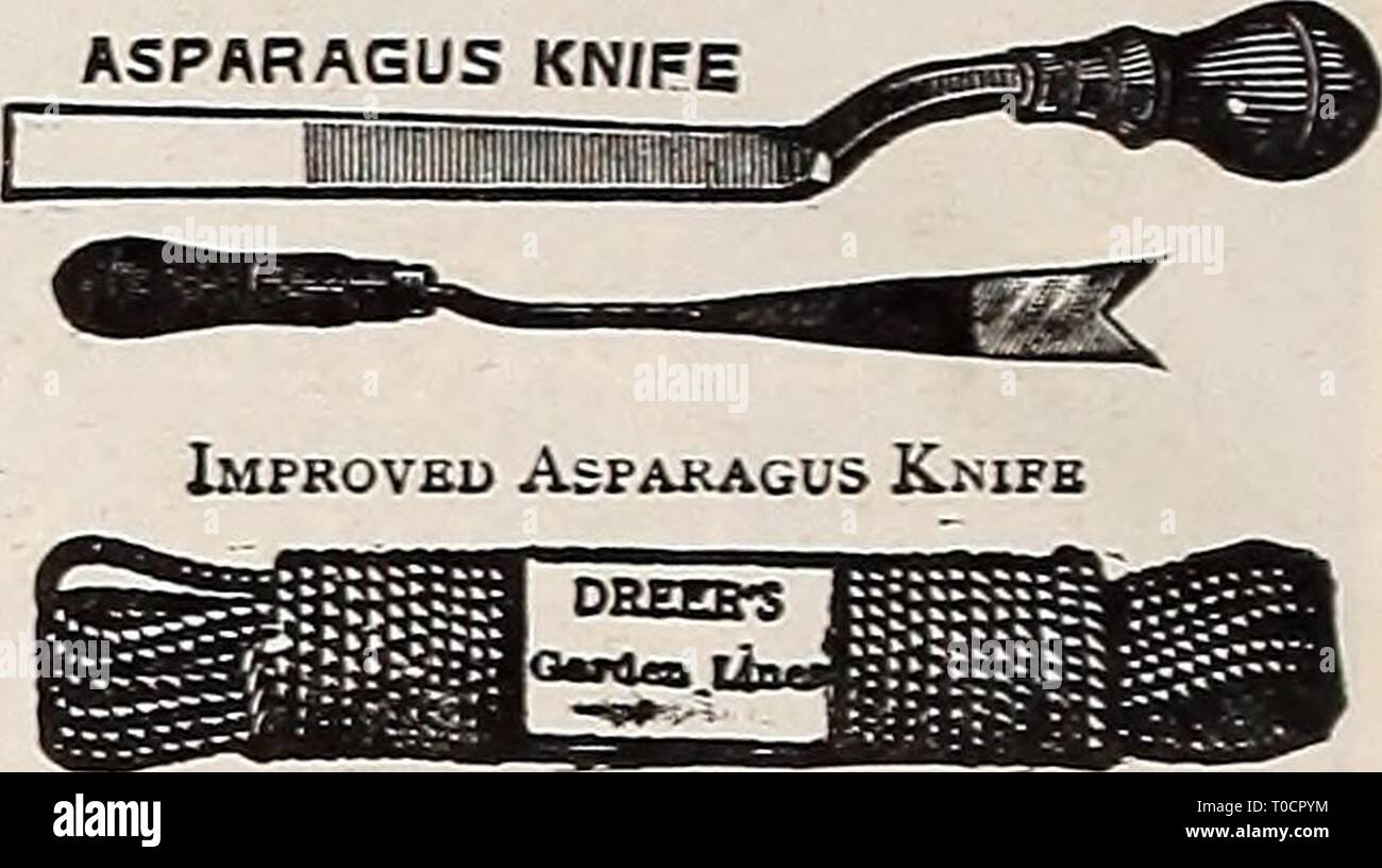 Dreer's garden book 1917 (1917) Dreer's garden book 1917 dreersgardenbook1917henr Year: 1917  Diamond Glass Cutter    Pruning and Garden Gloves Grass Edging Knife Asparagus Buncher. Acme, $2.00; Philadelphia,. .$2 00 Asparagus Knife. American, 35 cts.; Improved ... 50 Axe. Best quality, heavy, $1.25; medium, $1.15; light, 1 00 Bill Hook. Short handle, $1.25; long handle 2 00 Brooms. (Stable.) Push, rattan or cocoa 85 ' ' Upright, corn and rattan 50 and 60 Carnation Supports. Wire, 2 ring, doz., 60 cts.; 100, $4.00; 3 ring, doz., 75 cts.; 100 Dibbles. All iron, 40 cts.; iron point, 50 cts.; bra Stock Photo