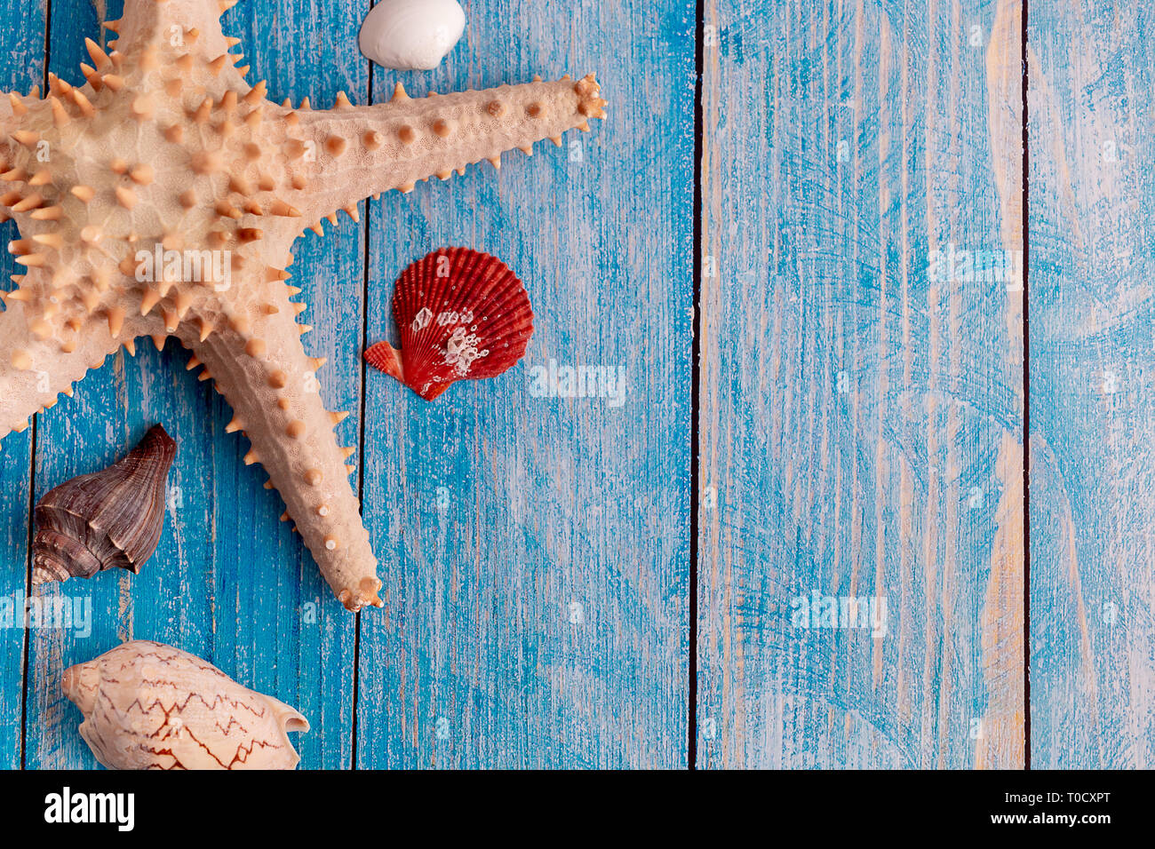 Top view of big starfish and small seashells on blue wood textured ...
