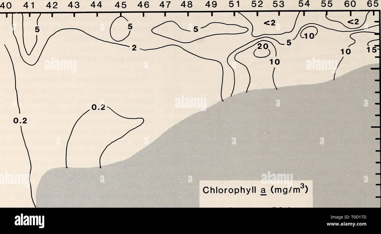 The Eastern Bering Sea Shelf The Eastern Bering Sea Shelf : oceanography and resources / edited by Donald W. Hood and John A. Calder easternberingsea00hood Year: 1981  988 Plankton ecology Station 50 100 Q. &lt;a Q 150 200    Chlorophyll a (mg/m ) 0 L 50 km  l Figure 58-14. Chlorophyll a (mg/m^) cross section in outer Bristol Bay south of the Pribilof Islands (PROBES Thomas G. Thompson cruise 138 leg 3, 29-31 May 1979). of ammonium oxidation in these waters. The simul- taneous use of *^N and ^^P to measure ammonium production, ammonium oxidation, and phosphate release rates should provide the  Stock Photo