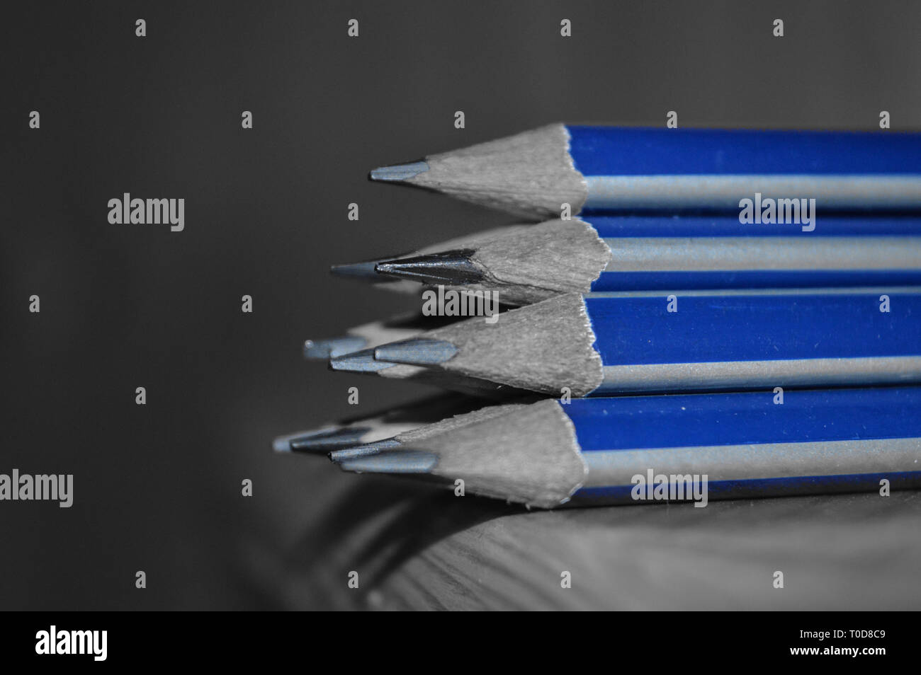 Pencils with sharpened tips kept on a table. Black and white photo with selective blue colour Stock Photo