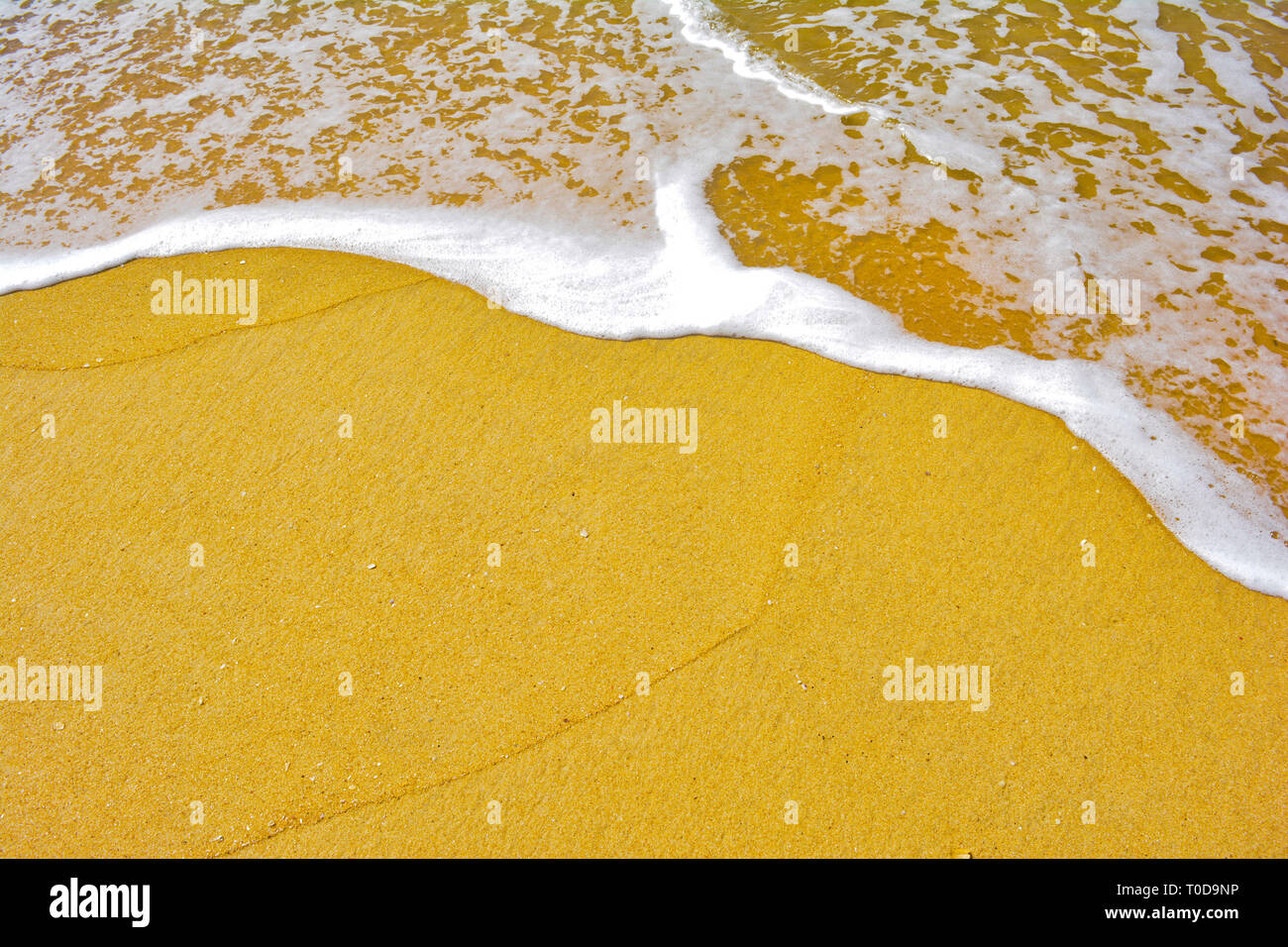 Wave vacations hi-res stock photography and images - Alamy