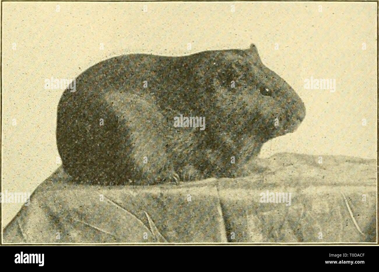 Elementary Biology An Introduction To Elementary Biology An