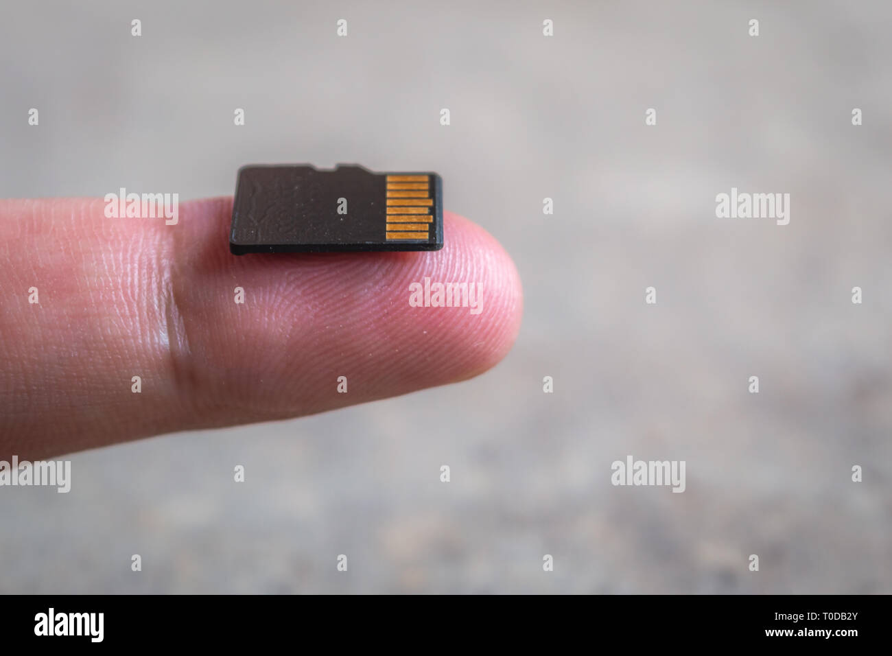 A Micro SD Memory Card compared to the size of a finger Stock Photo - Alamy