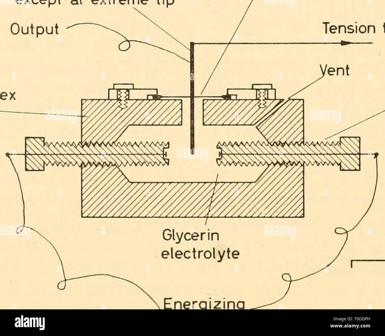 Electronic apparatus for biological research Electronic apparatus for
