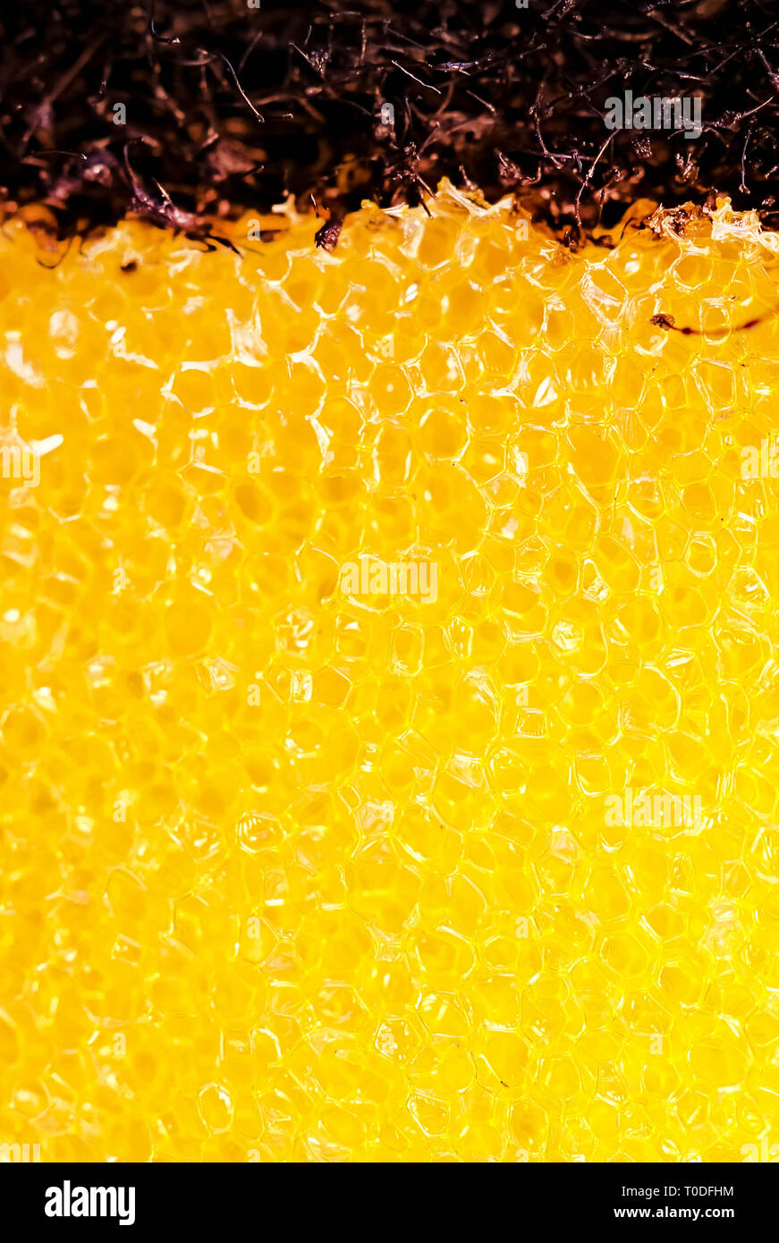 plastic sponge wash up background Stock Photo