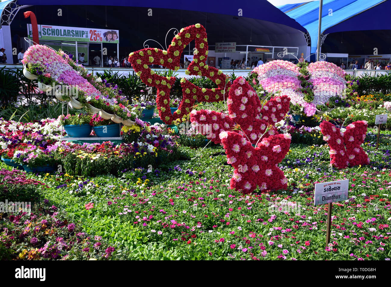 Butterfly garden indian hires stock photography and images Alamy