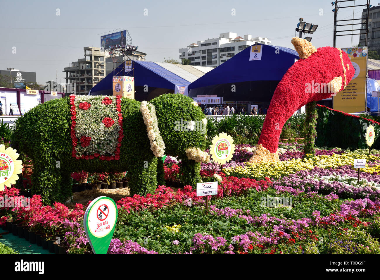 Elephant with Pentas flowers, Flower Garden, Surat, Gujarat, India