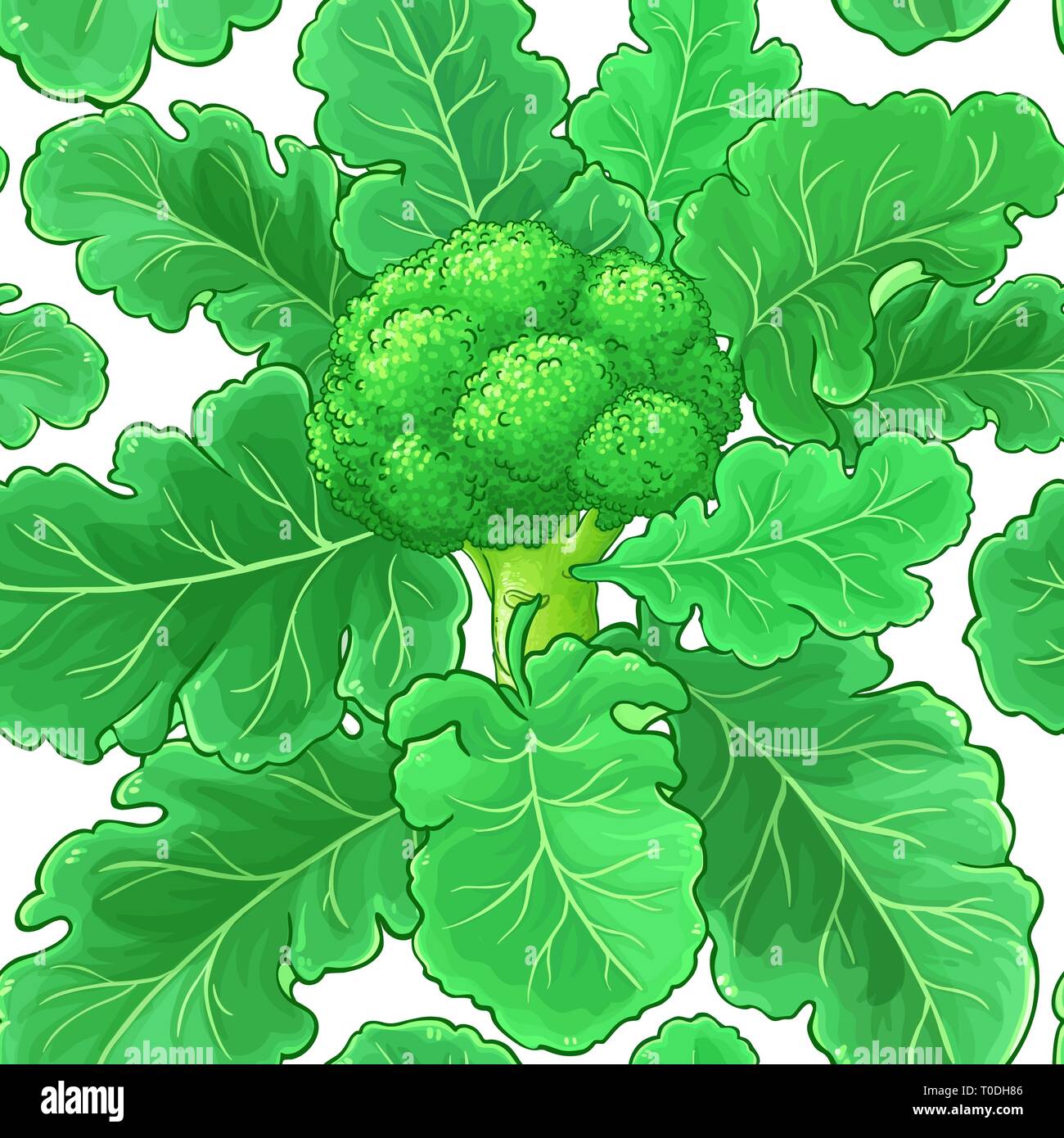 broccoli vector pattern on white background Stock Vector
