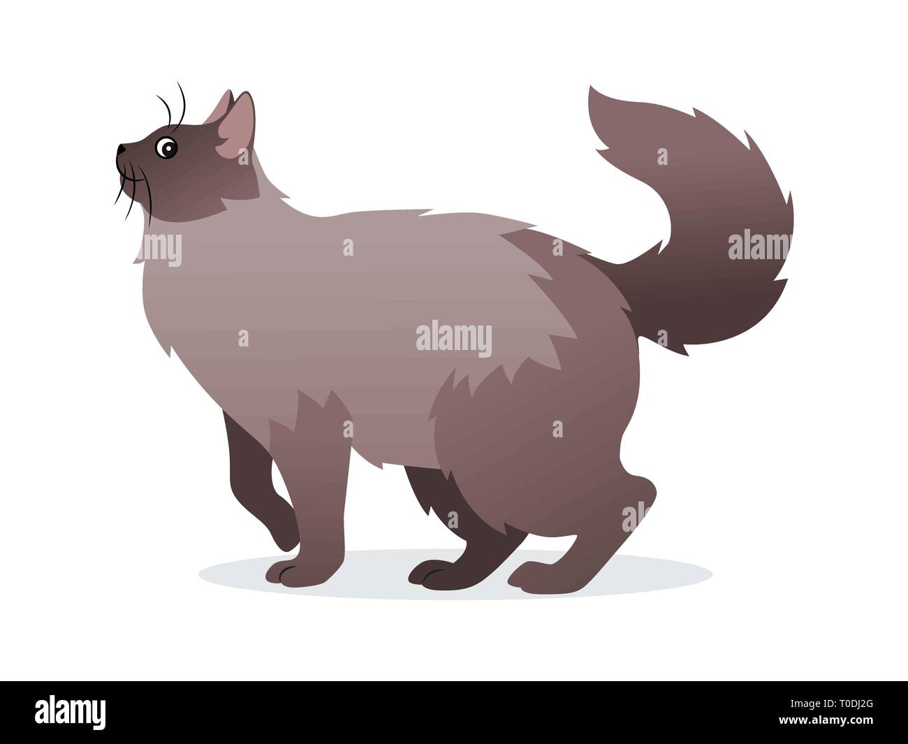 Long-haired cat with long fluffy tail icon, pet isolated on white background, domestic animal, vector illustration in flat style. Stock Vector