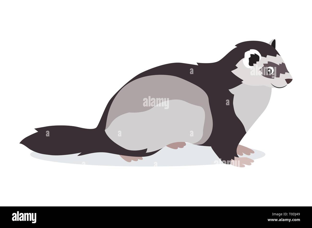 Cute gray ferret icon isolated on white background, small fluffy pet, domestic animal, vector illustration Stock Vector
