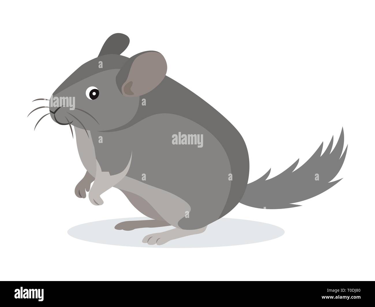 Cute gray chinchilla icon, fluffy pet, domestic animal, rodent, vector illustration Stock Vector